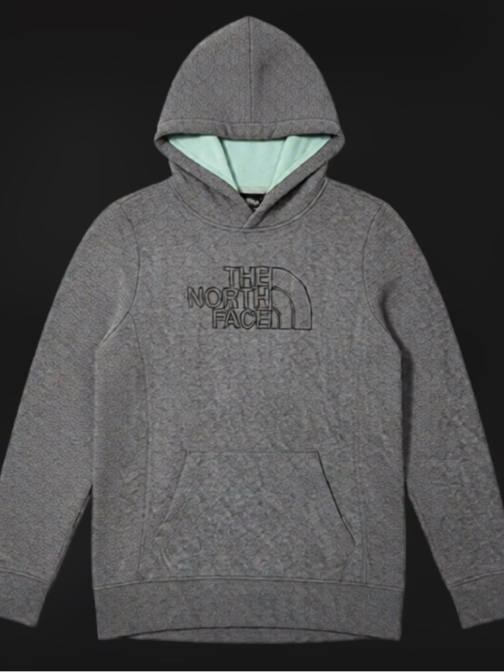 The North Face Grey Hoodie with Mint Hood Lining